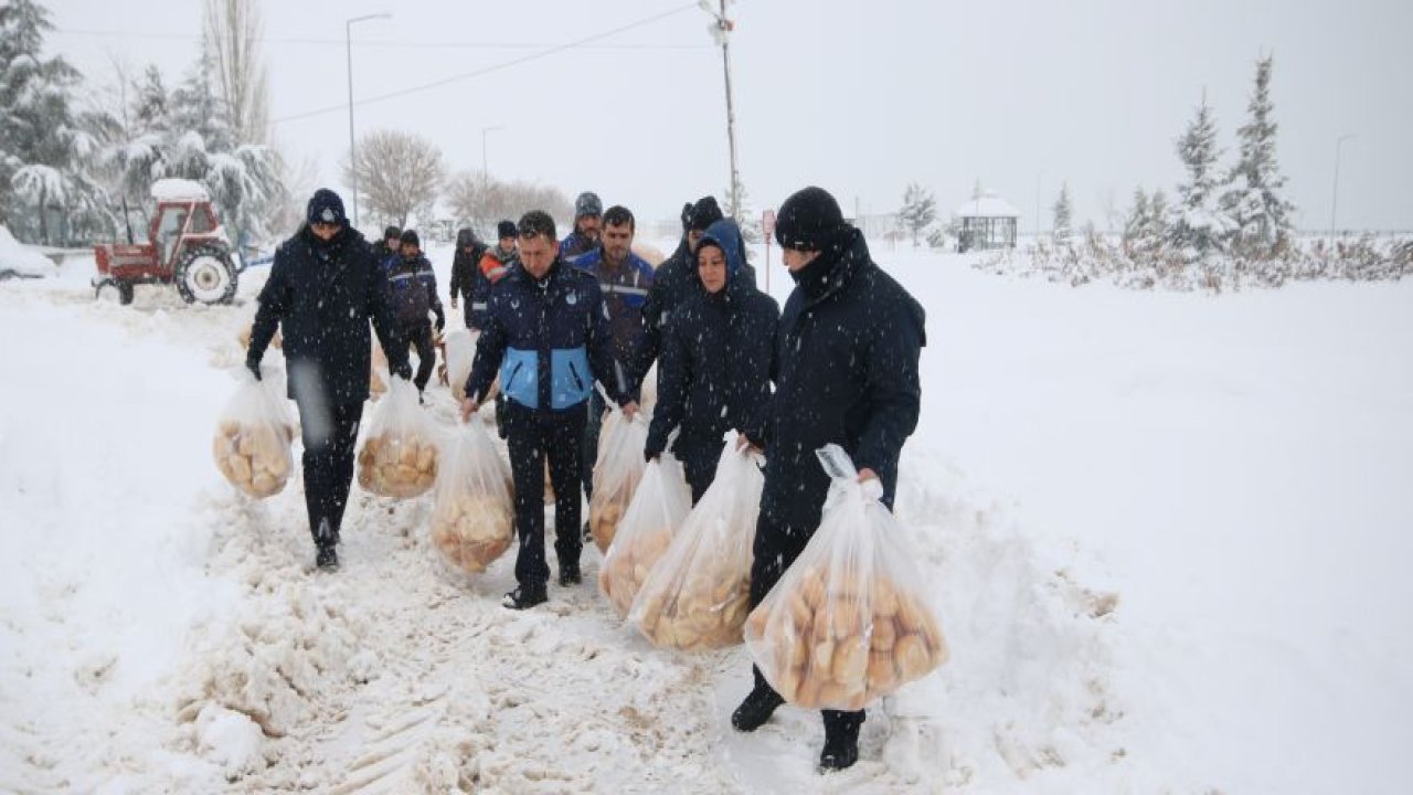 Beyşehir’de sokak hayvanları ve su kuşları unutulmadı