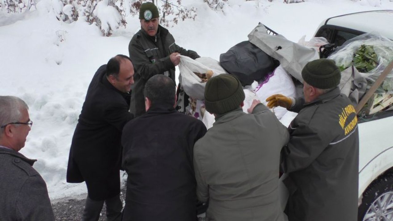 Beyşehir’de vahşi hayvanlar için doğaya yiyecek bırakıldı