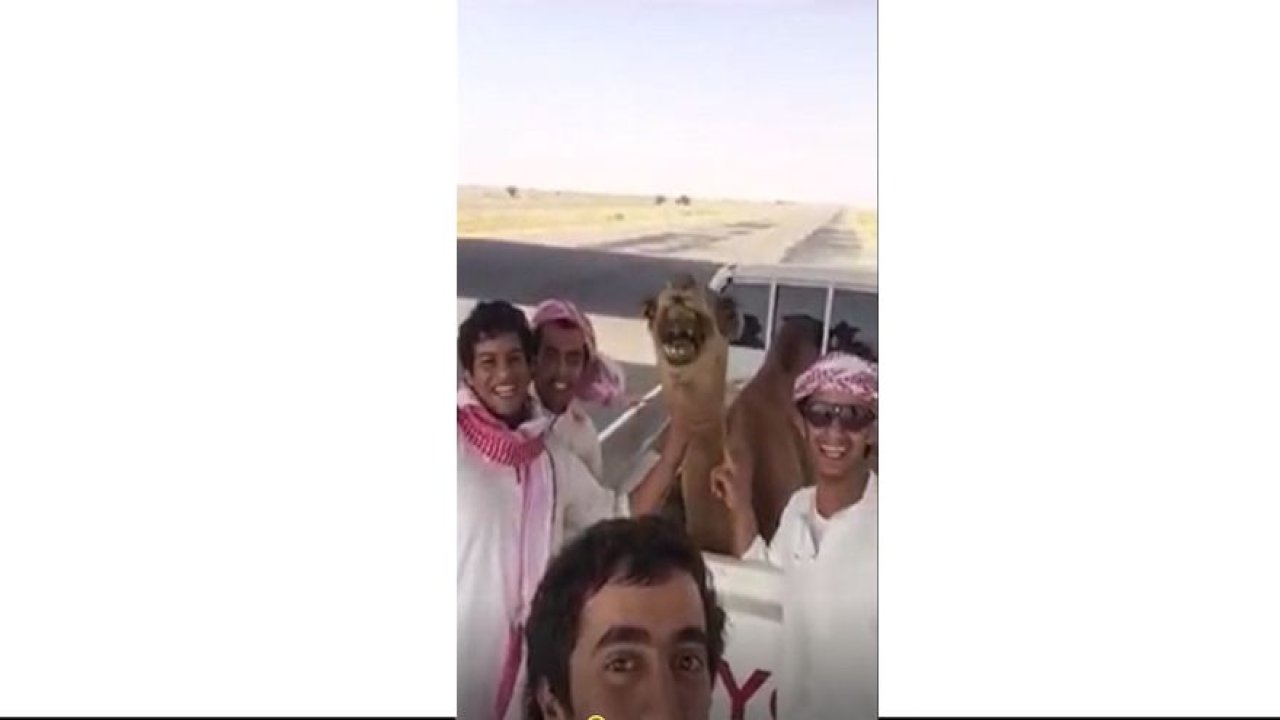 Deve ve arkadaşları bir şeylere çok mutlu oluyor