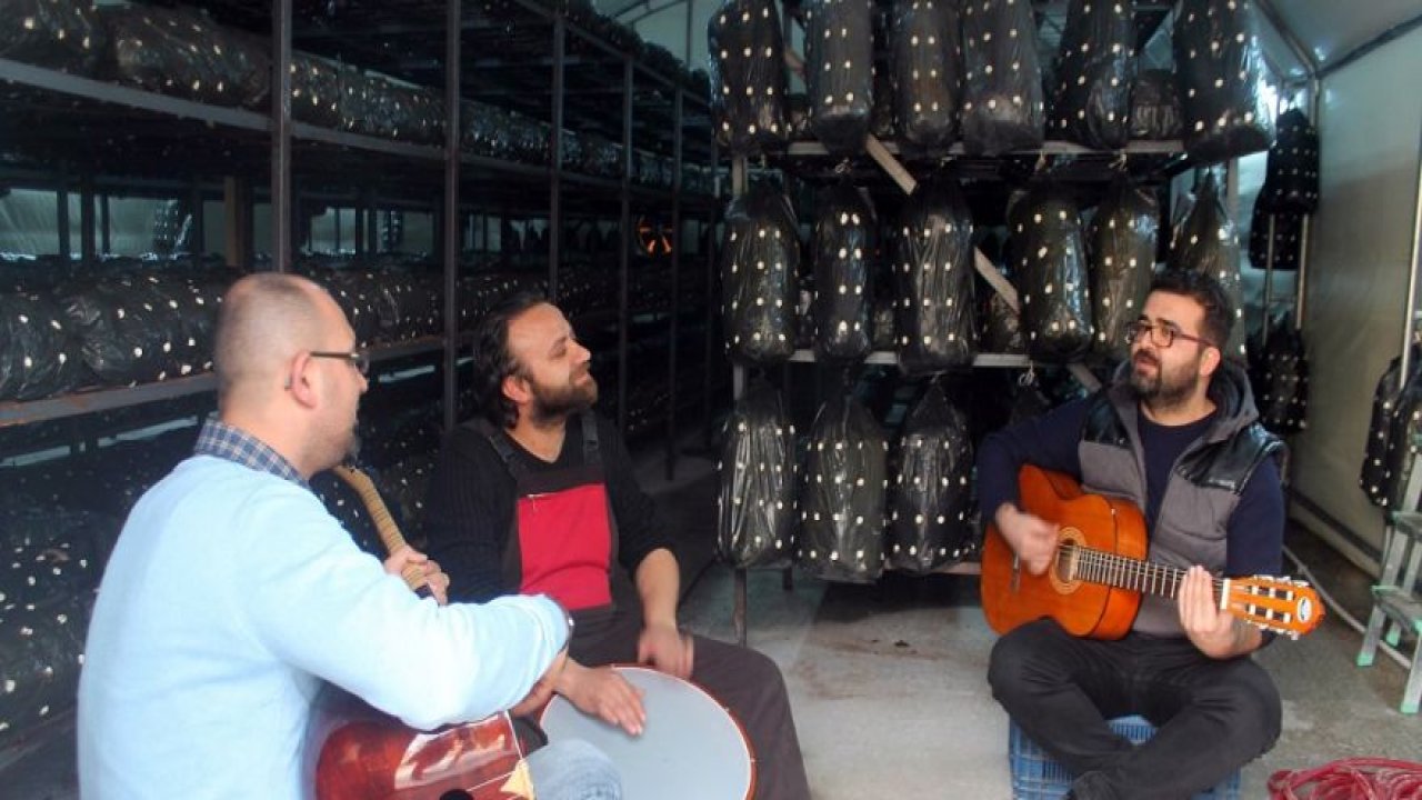 Müzikli terapiyle istiridye mantarı yetiştiriyor