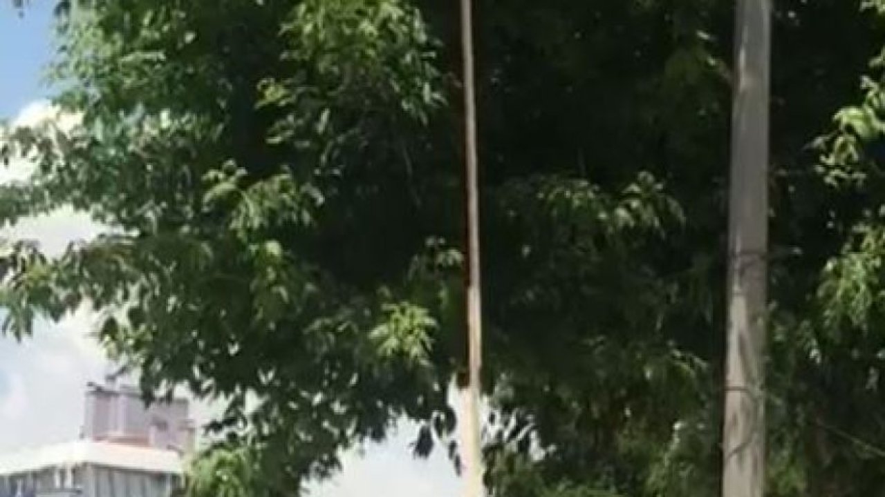 Esnaf arı alarmında