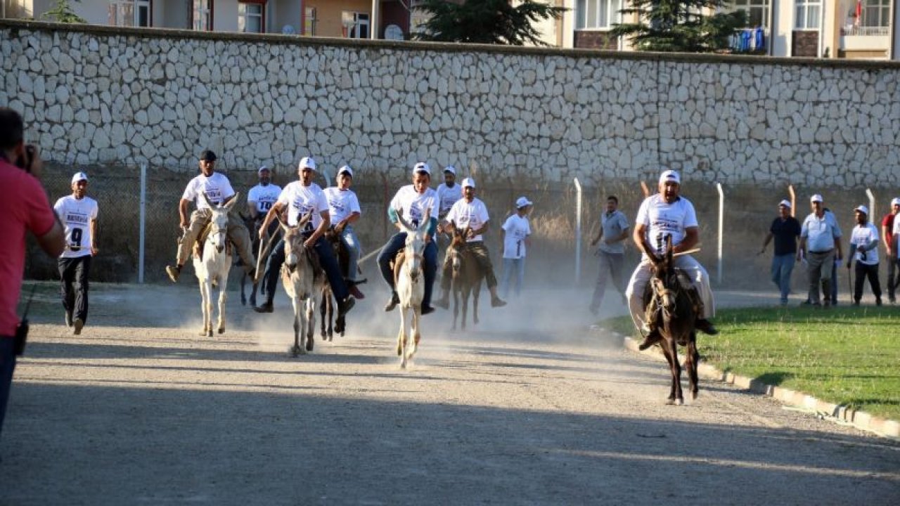 Eşeğe binme ve en güzel gözlü eşek yarışları yapıldı