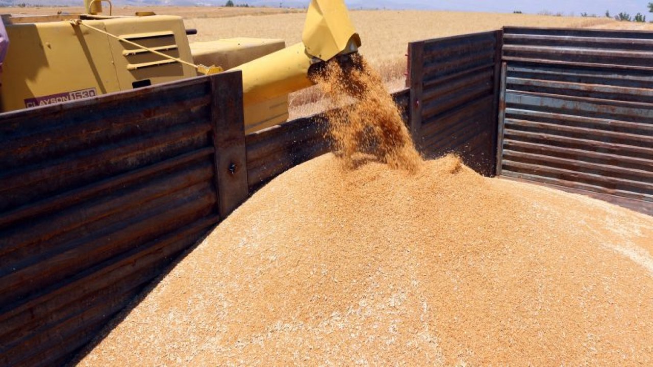 Konya Ovası'nda kışın bereketi görülmeye başlandı