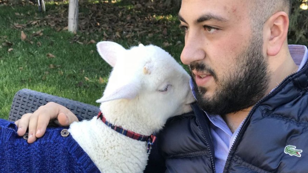 Kuzusuna çocuğu gibi bakıyor