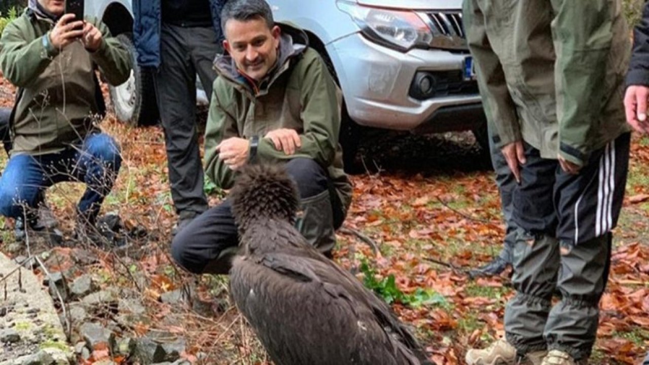 Bakan Pakdemirli, kara akbabayı doğaya saldı