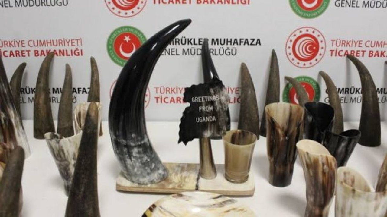 İstanbul Havalimanı’nda 'Bufalo Boynuzu' Operasyonu