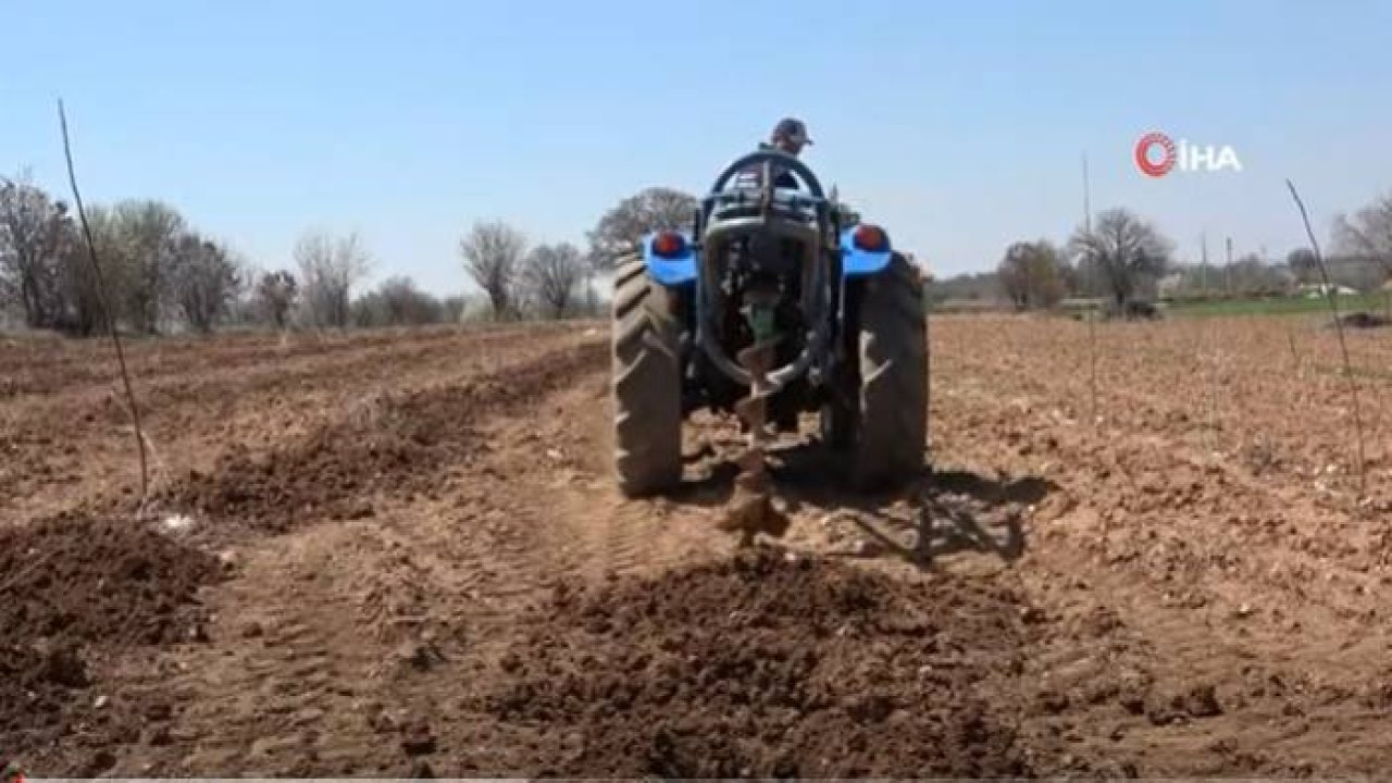 Ahududu ve Böğürtlen’ Fidan Desteği Kadınlara Yeni Gelir Kapısı Oluşturulacak