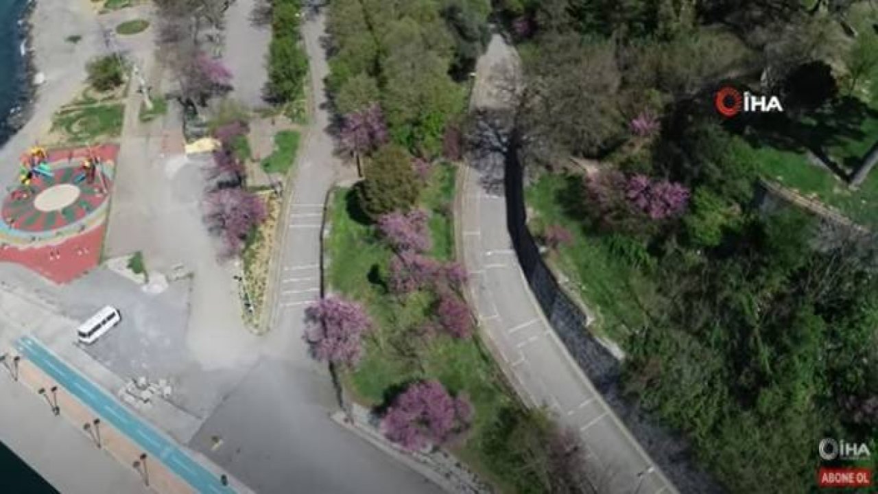 Korona Günlerinde Erguvanların Açmasıyla İstanbul Boğazı Rengarenk Oldu