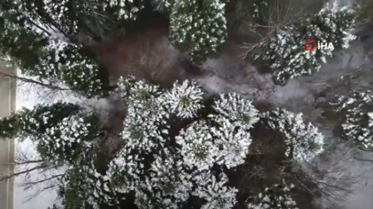 Kar Yağdı, Çam Ağaçları Görsel Şölen Oluşturdu