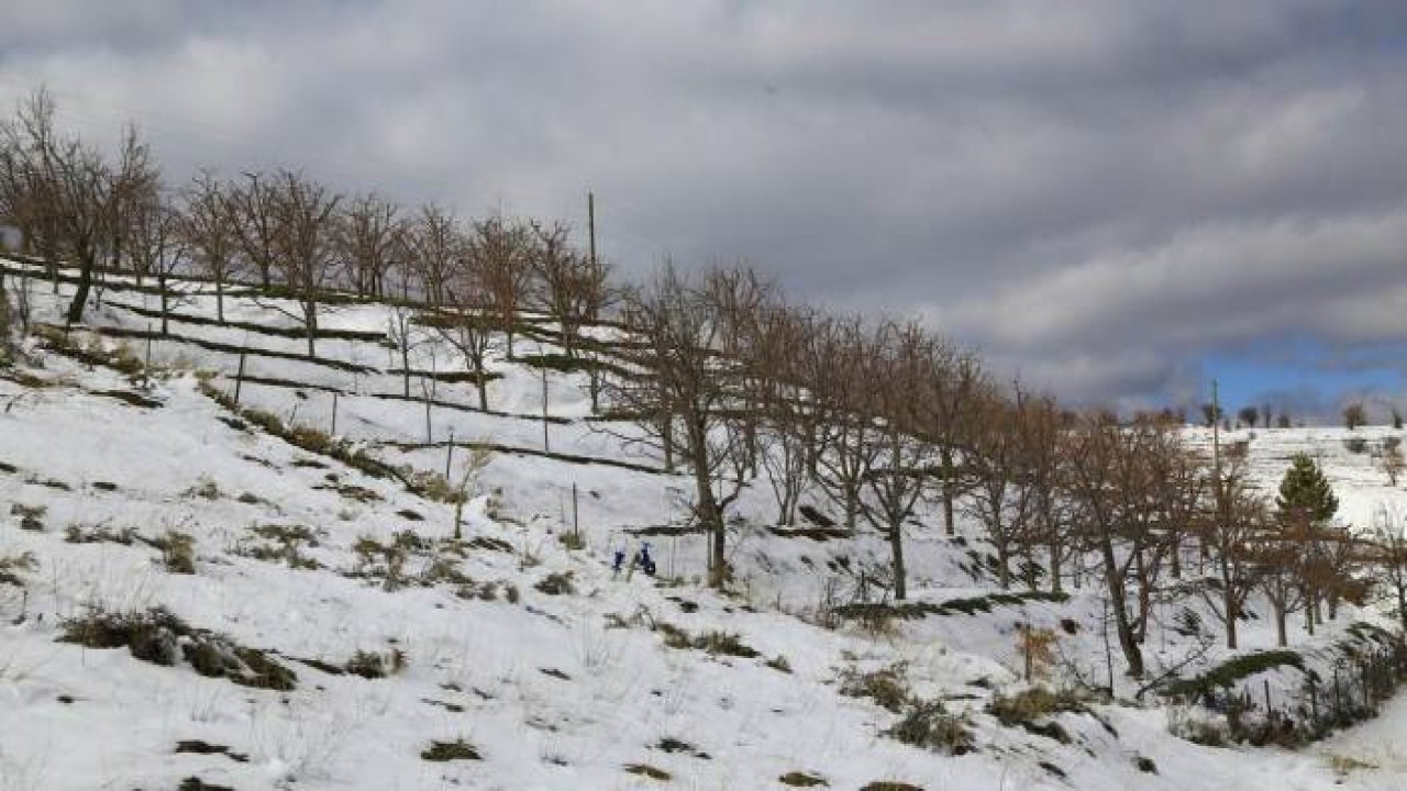 Kuraklık endişesi yaşayan kiraz üreticilerinin yüzü son yağışlarla güldü