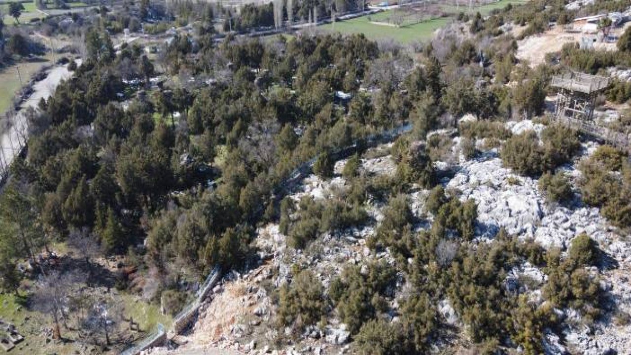 Leylekler Vadisi, leyleklerle şenlendi