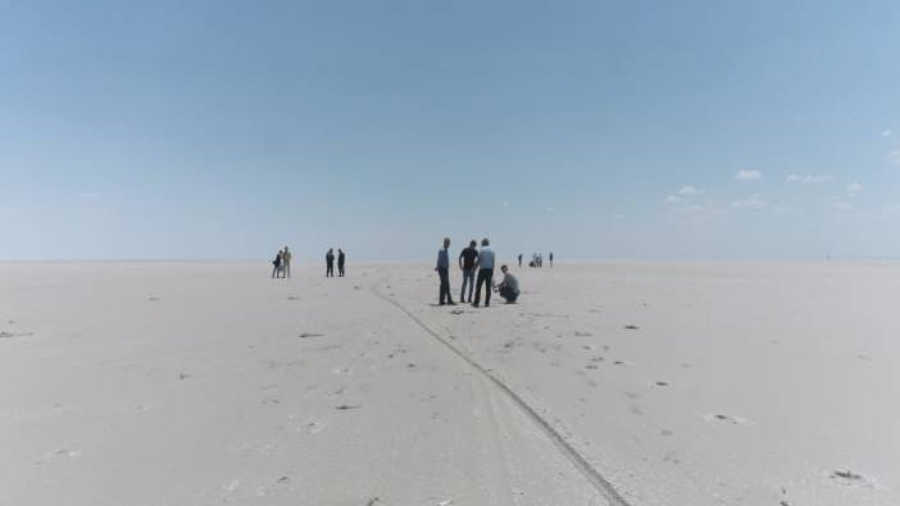 Tuz Gölü’ndeki ölü flamingolar incelemeye alındı