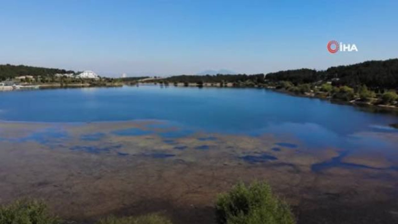 Pelitözü Göleti'ni Yosunlar ve Sazlıklar Kapladı İha