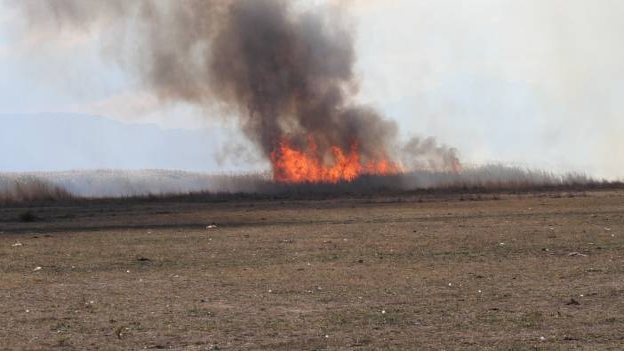 Beyşehir Gölü Milli Parkı kıyısındaki sazlıklar alev alev