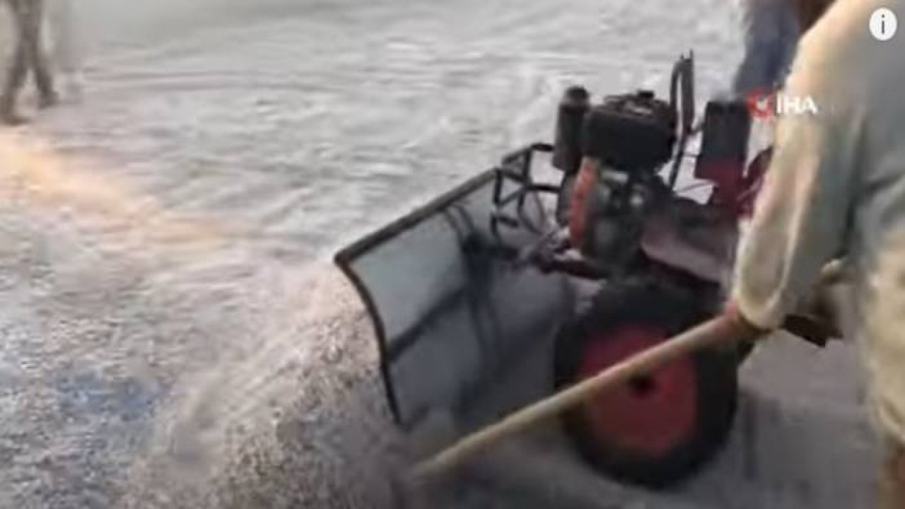 Çekirdek Hiç Bu Kadar Güzel Görünmemişti...