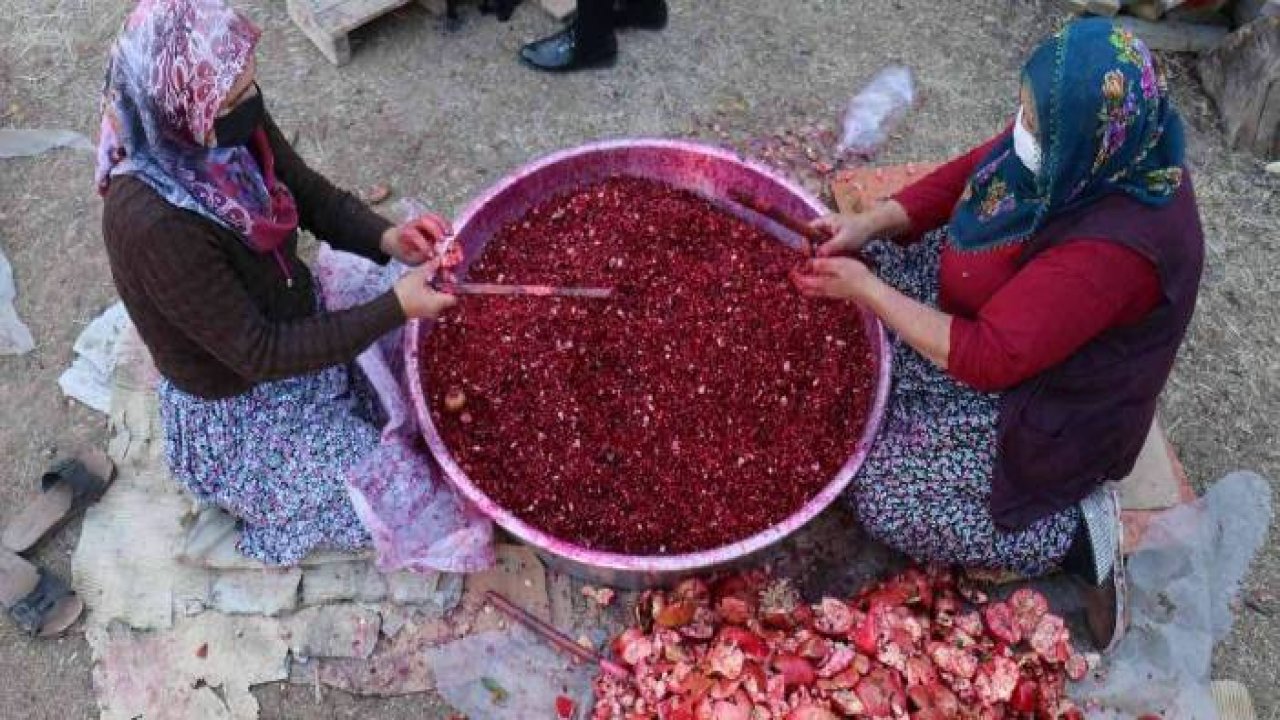 Kadınların İmece Usulü İle Nar Ekşisi Mesaisi