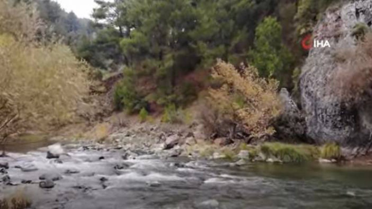 Doğal Kaplıcada Çamurla Güzellik Banyosu