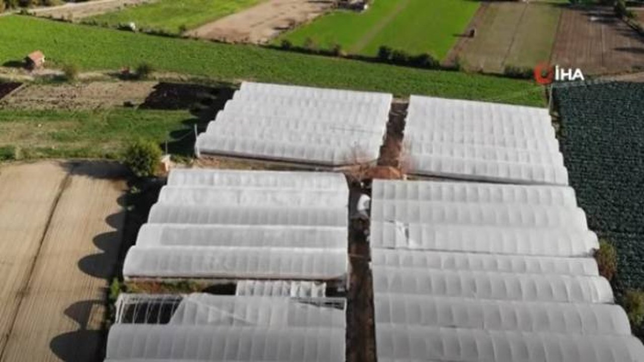 Bu İlçedeki Tarla ve Seralar Yılın 365 Günü Türkiye’yi Besliyor