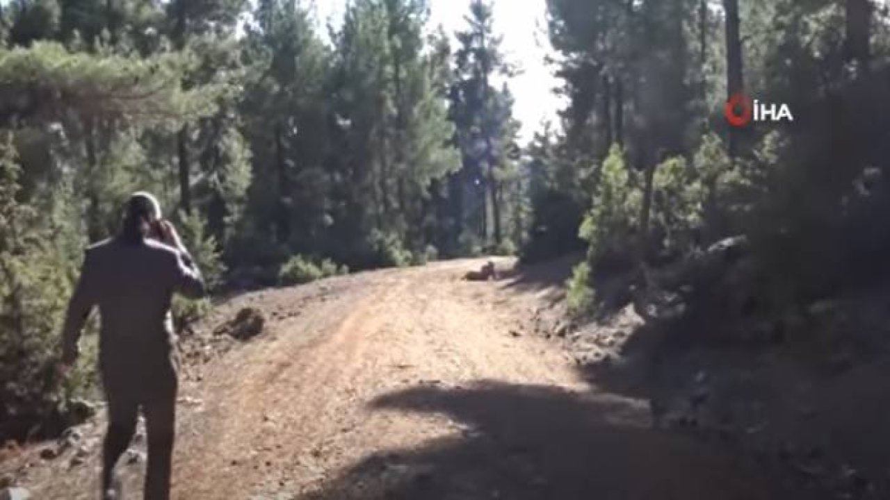 Hayatlarının En Güzel Haberini Yaptılar