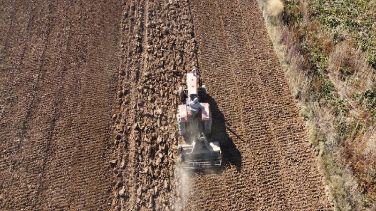 Türkiye'nin en büyük tatlı su gölünün bulunduğu Beyşehir'de kuraklık çiftçiyi vurdu