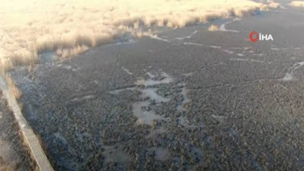 Sultan Sazlığı'ndaki Yangının Hasarı Gün Ağarınca Ortaya Çıktı