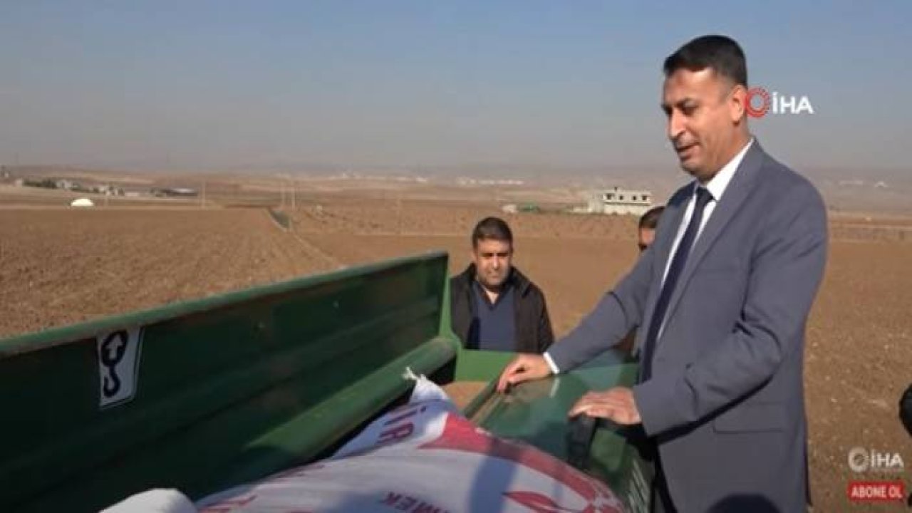 Çiftçiye Desteği Yapılan İlk Mercimek Tohumun Ekimi Yapıldı