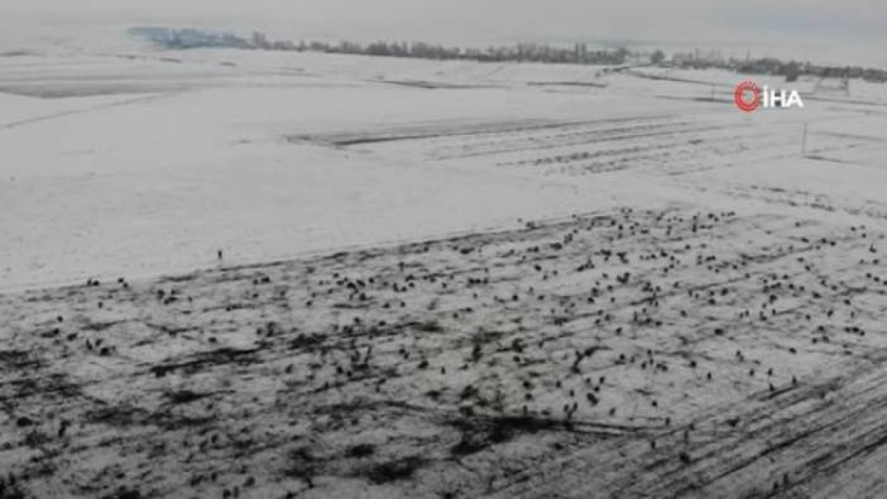 Kars’ta Göçerlerin Kar Üzerinde Zorlu Yolculuğu