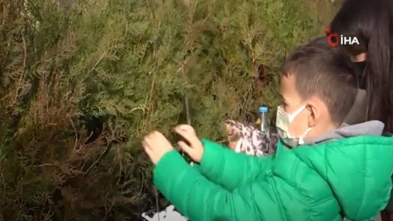 Atık Malzemeler Amasyalı Çocukların Elinde Kuş Yuvası ve Yemlik Oldu