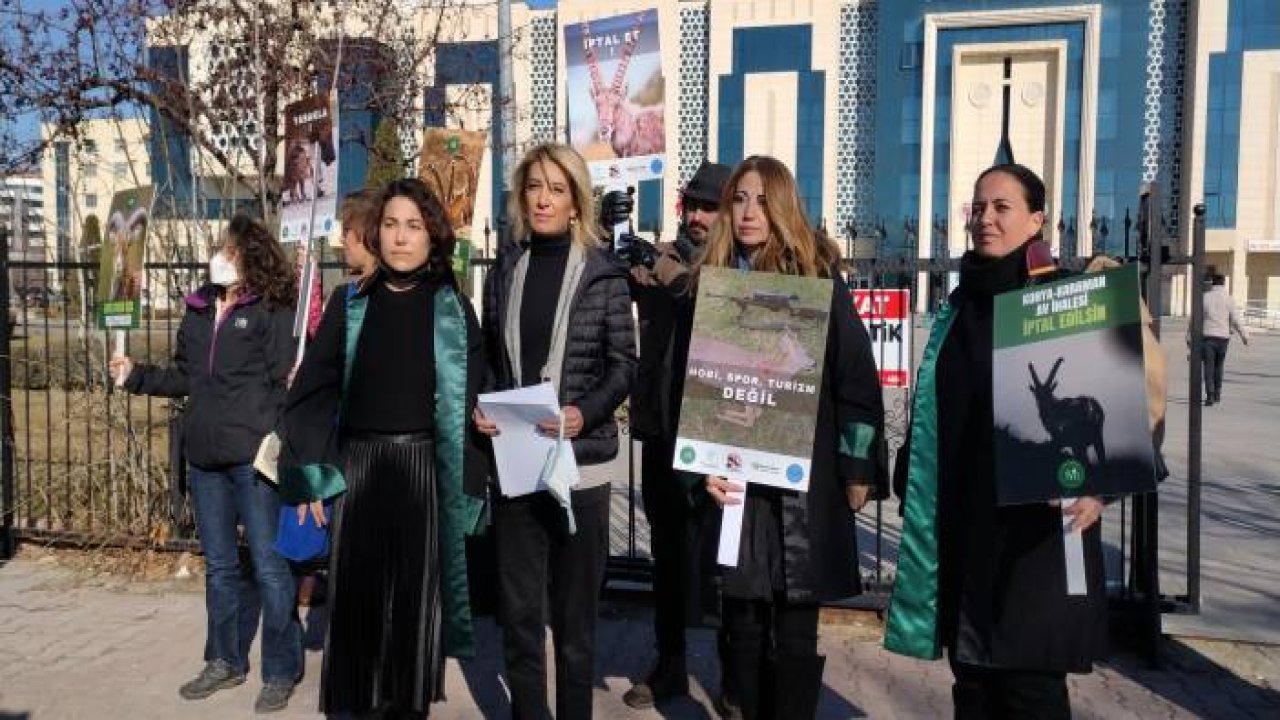 Anadolu yaban koyunu ve yaban keçilerinin akıbeti 15 gün içinde belli olacak