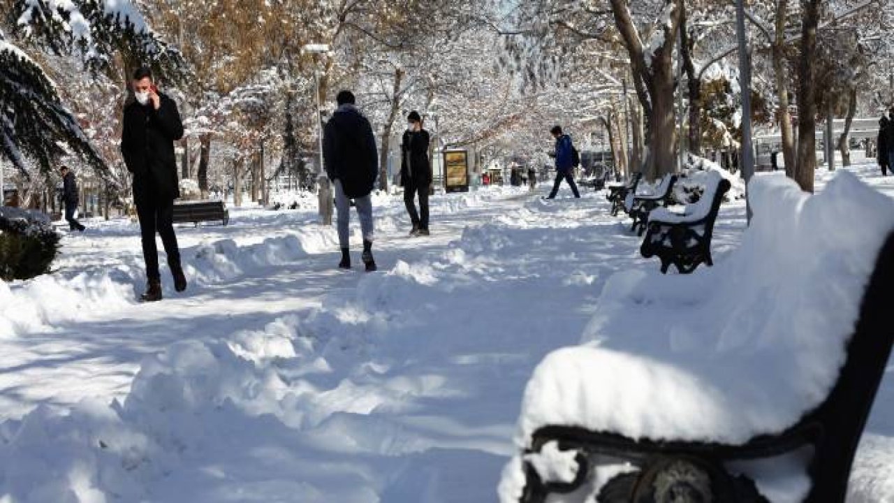 Buz tutan havuzda kuğuların renkli görüntüleri
