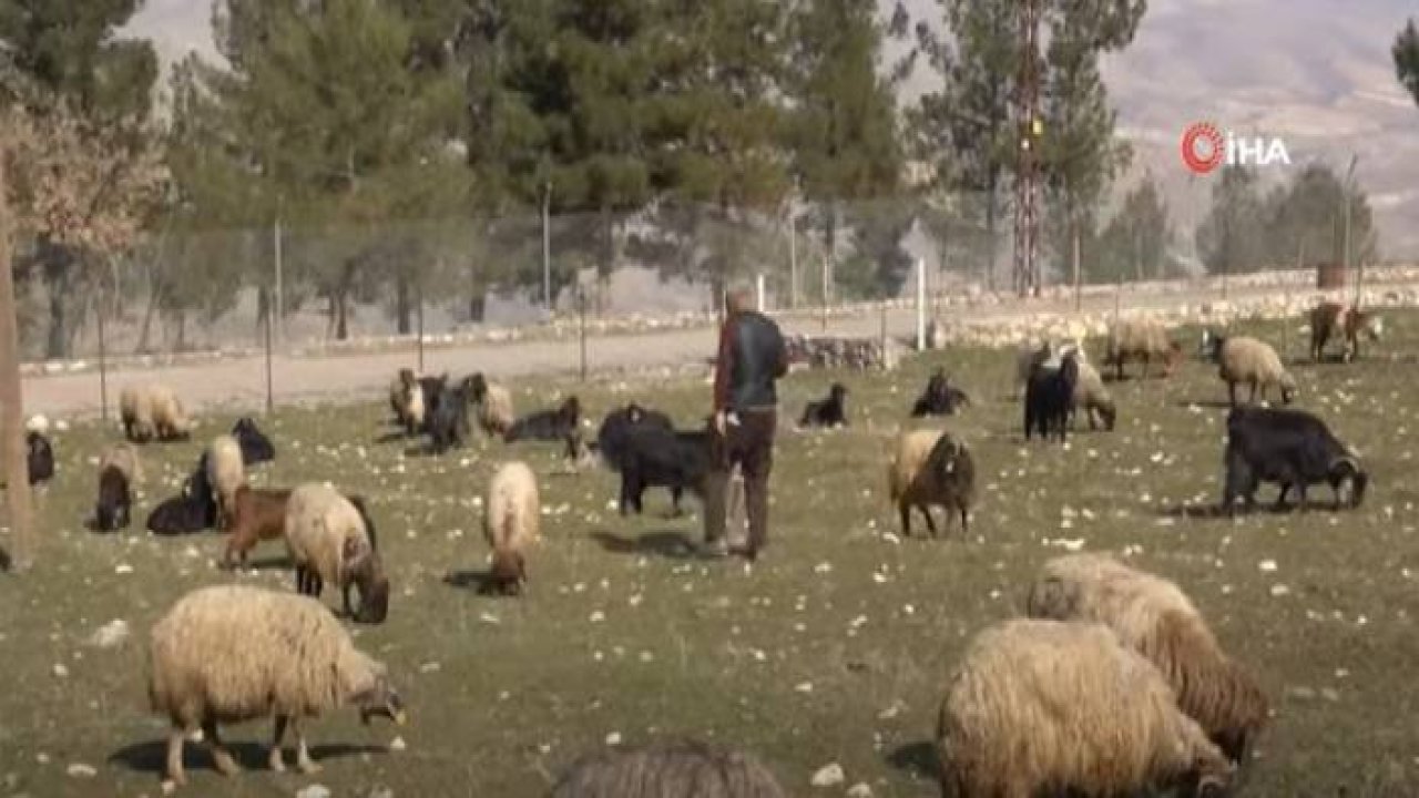 Kentten Köye Göç Edip Devlet Desteğiyle Çiftçilik Yapıyorlar