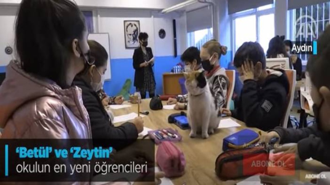 “Betül” ve “Zeytin öğrencilerle derse giriyor, sınıfın neşe kaynağı oluyor