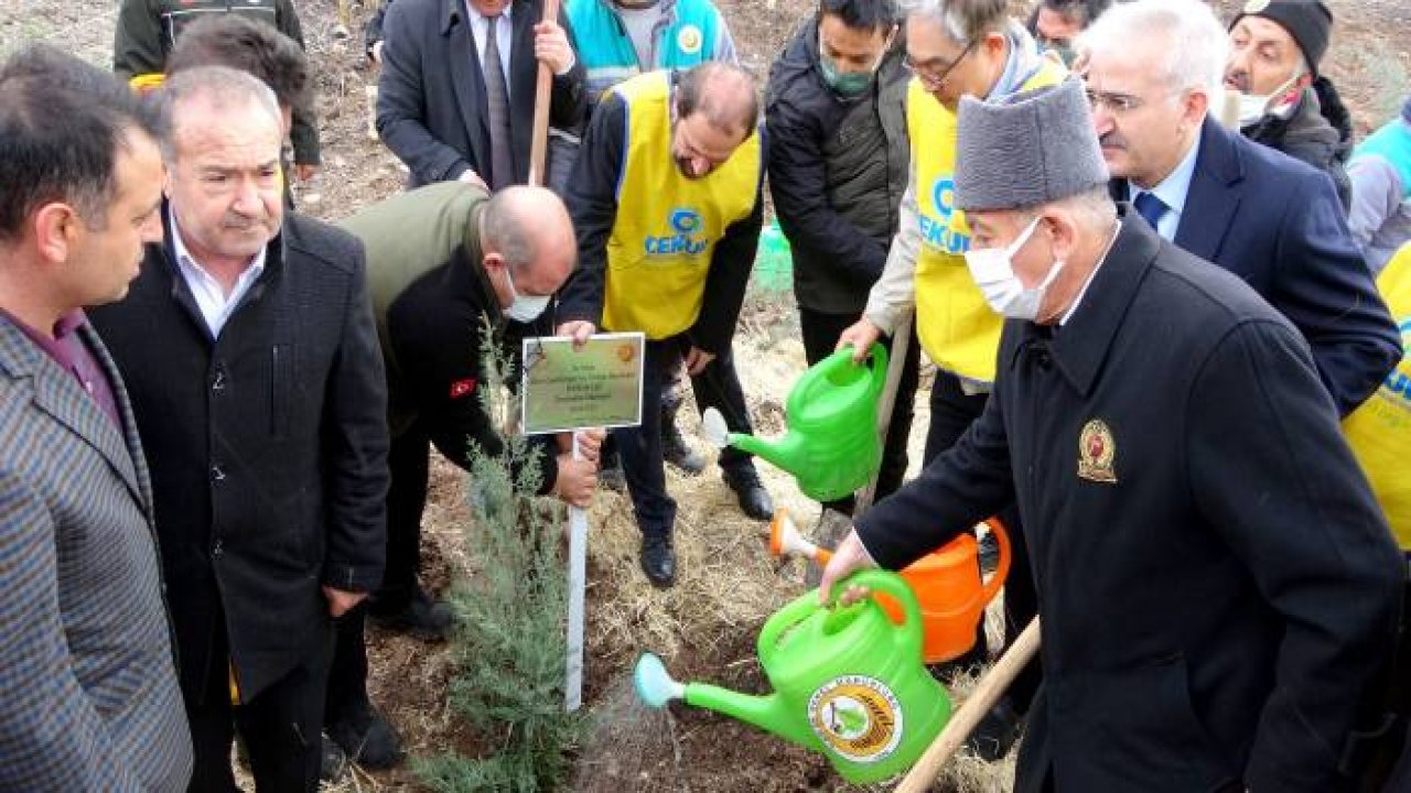 Osmaniye'de Güney Kore-Türkiye Dostluk Ormanı kuruldu