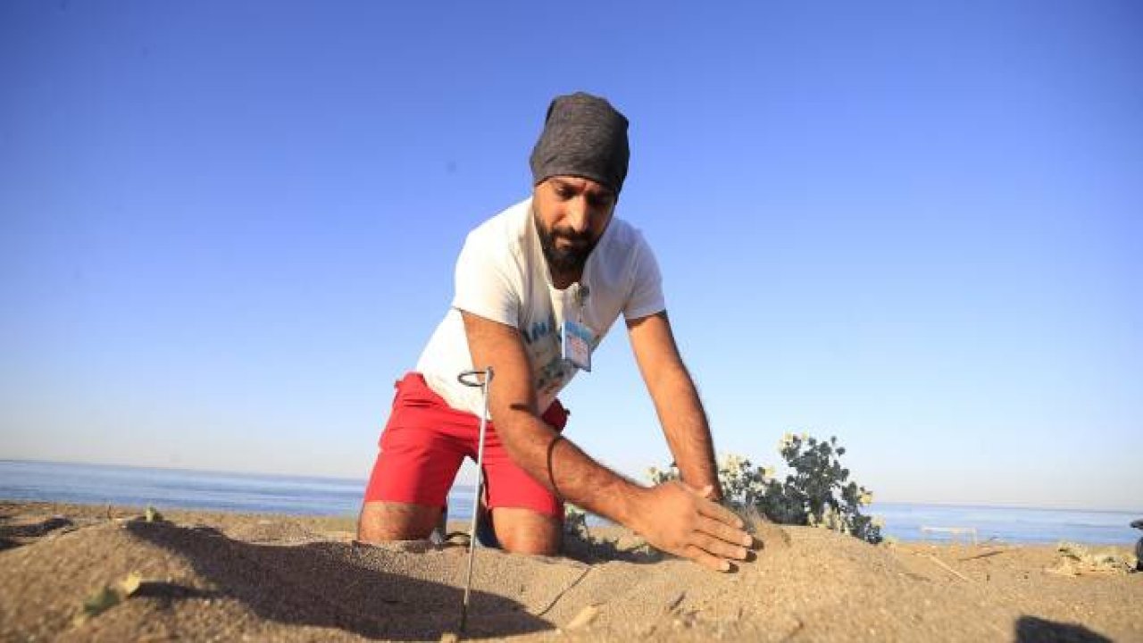 Antalya'da 12 yıldır caretta carettaların yuvalarını koruyor