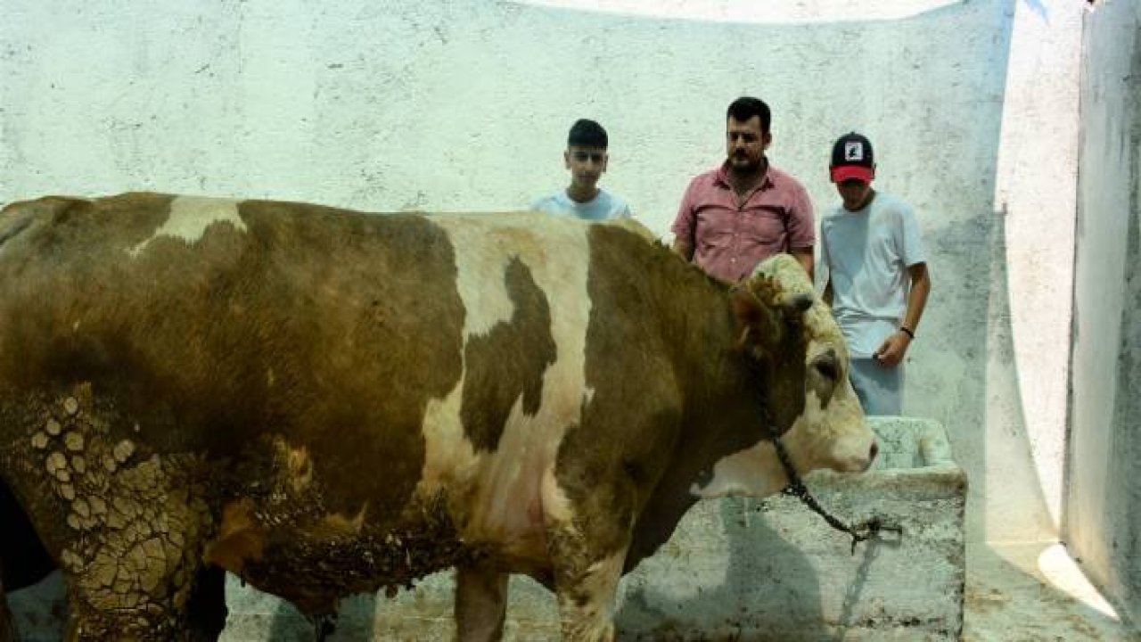 Bayram öncesi ‘İnsanlık ölmedi’ dedirttiler