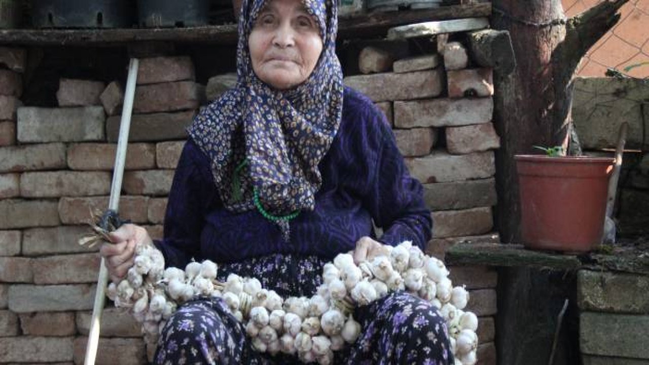 Yaş 83, bir an olsun çalışmaktan vazgeçmiyor