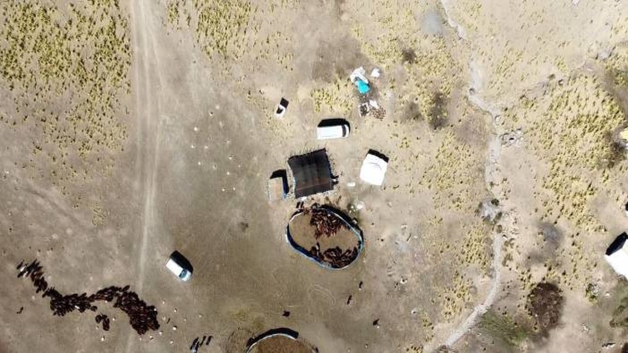 3 bin 500 rakımlı Ağırkaya Yaylası’nda zorlu mesai