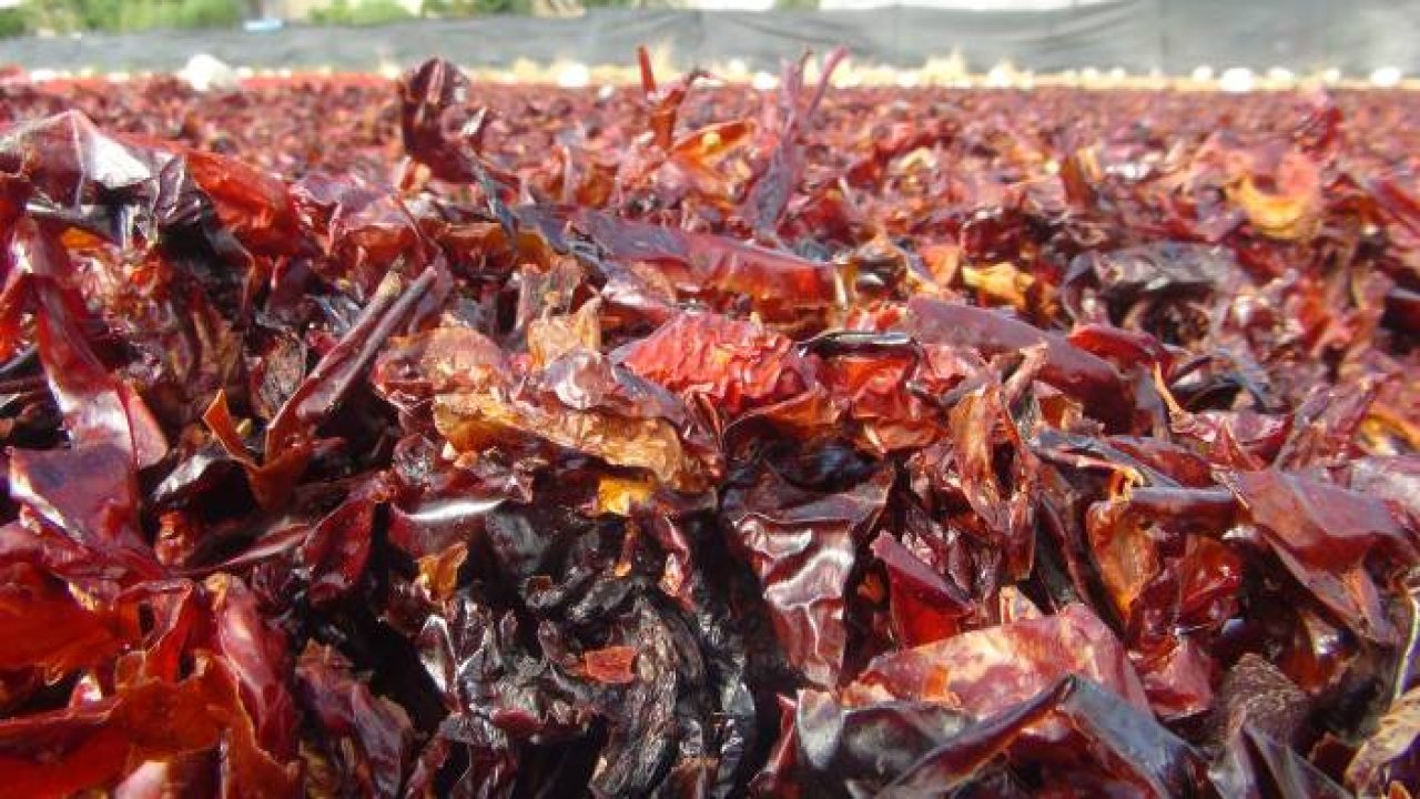 Vazgeçilmez baharat 'Urfa isotu'