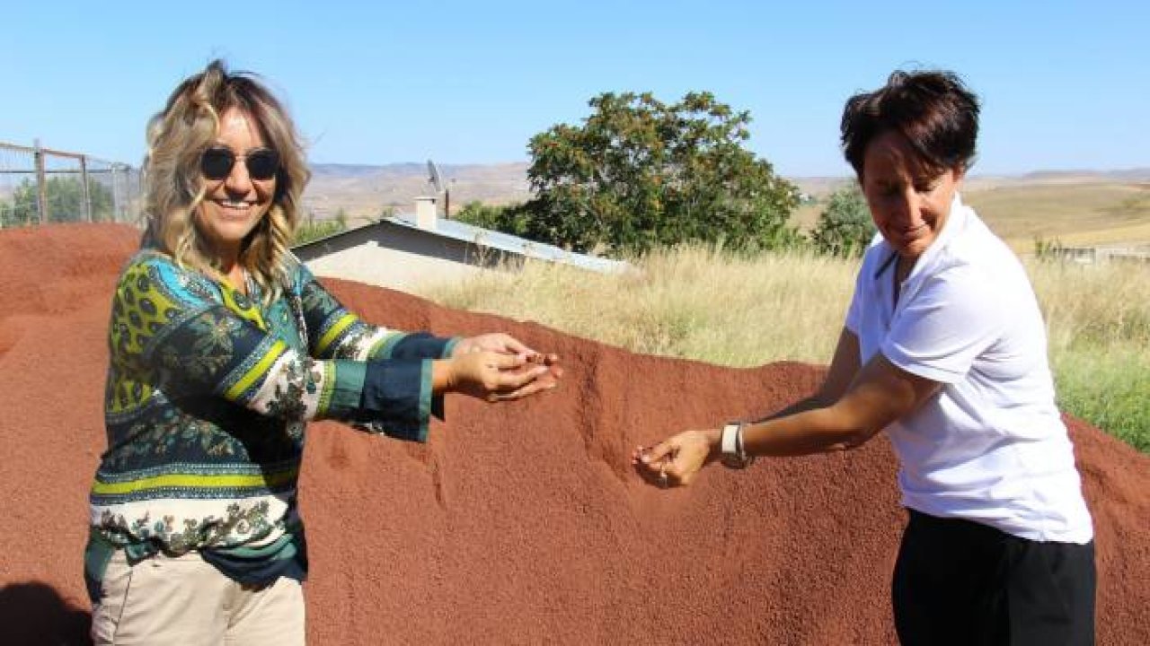 Türk tarımını dışa bağımlılıktan kurtulacak çalışma