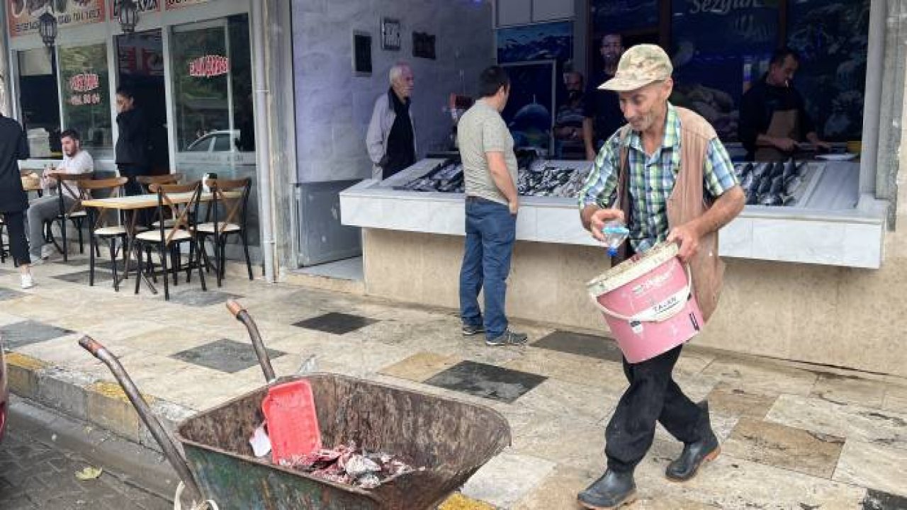 Hayatını aç hayvanları doyurmaya adadı