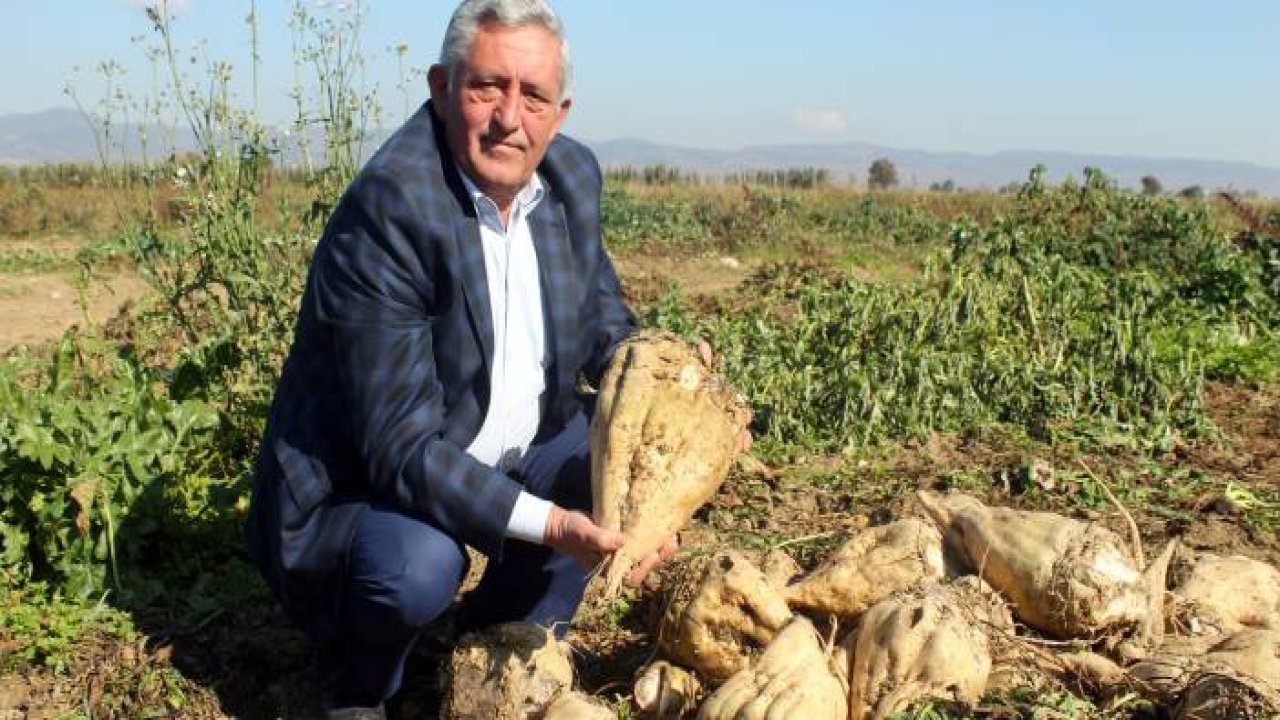 Şeker pancarında kalite seferberliği