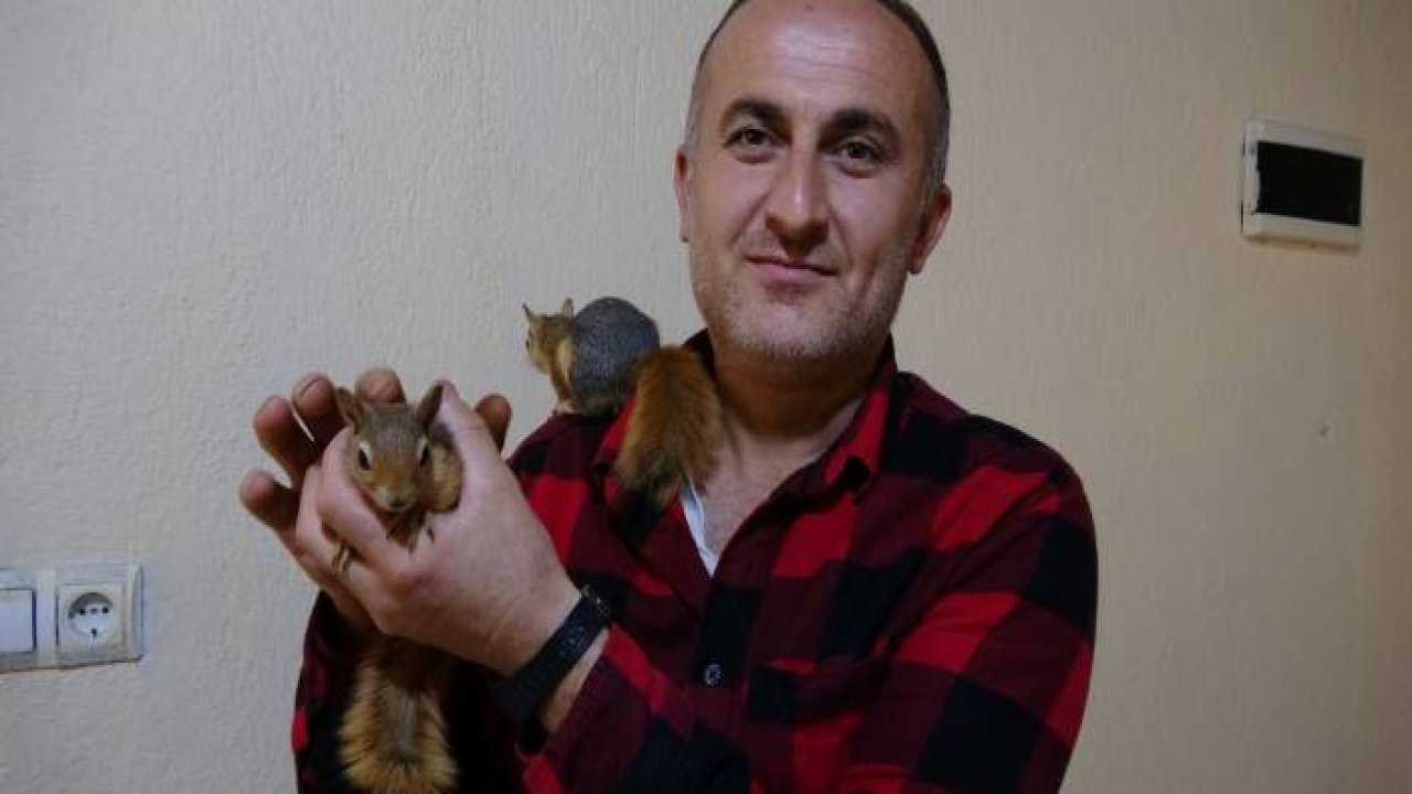 Köy okulu öğretmeni beslediği sincaplara çocuğu gibi bakıyor