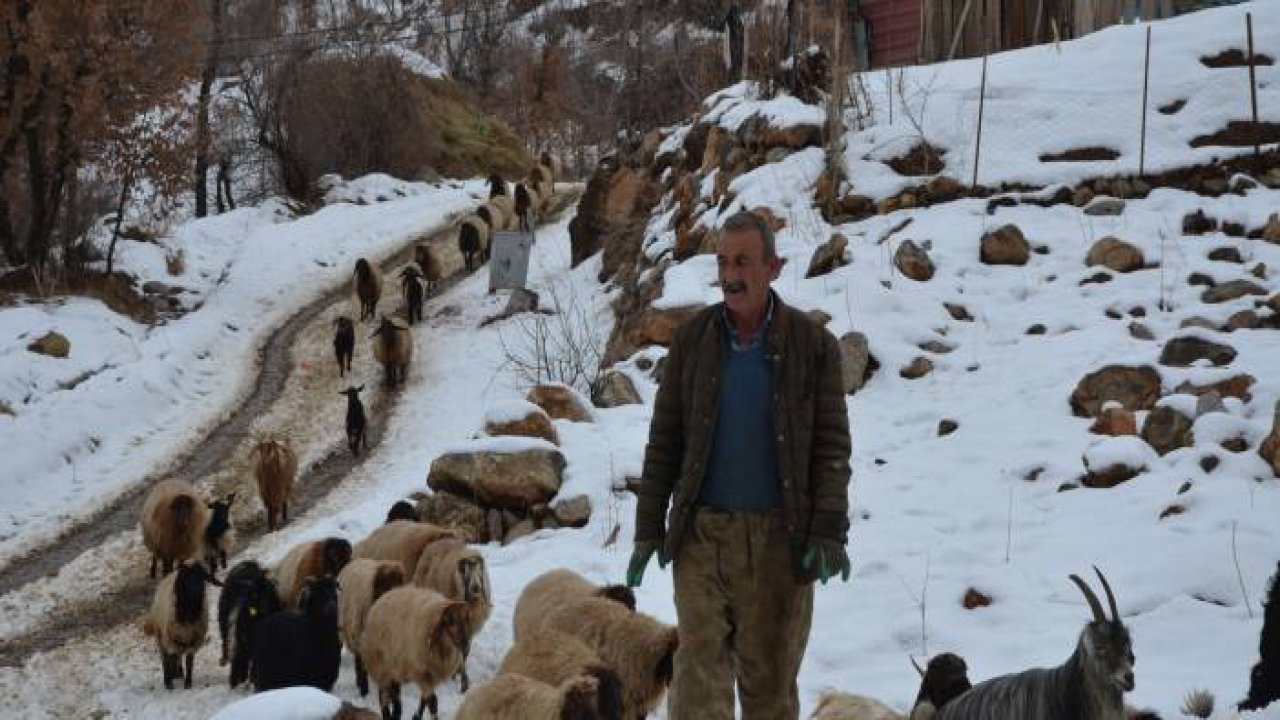 Şırnak’ta besicilerin zorlu kış mesaisi