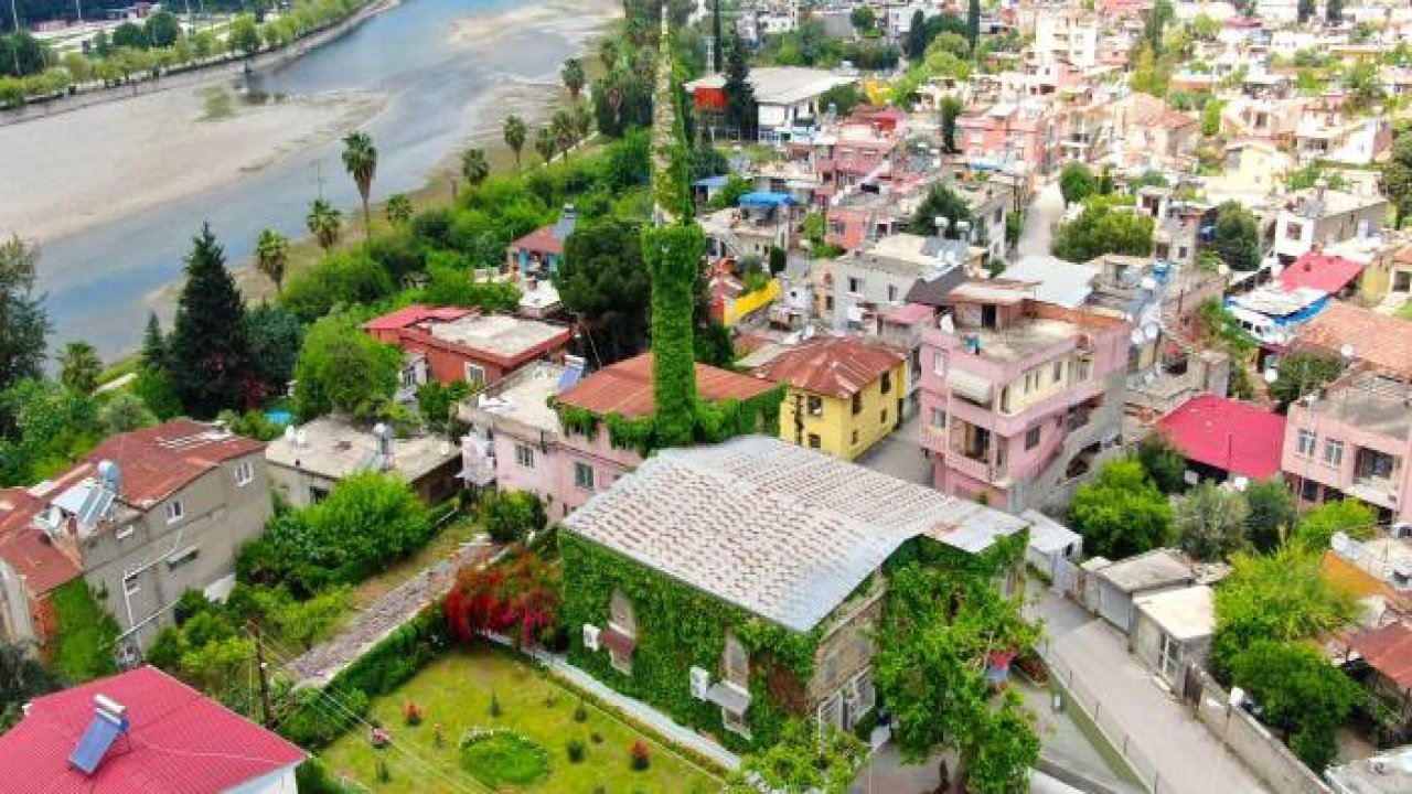 Görenlere huzur veren cami bu sene de sarmaşıklarına kavuştu