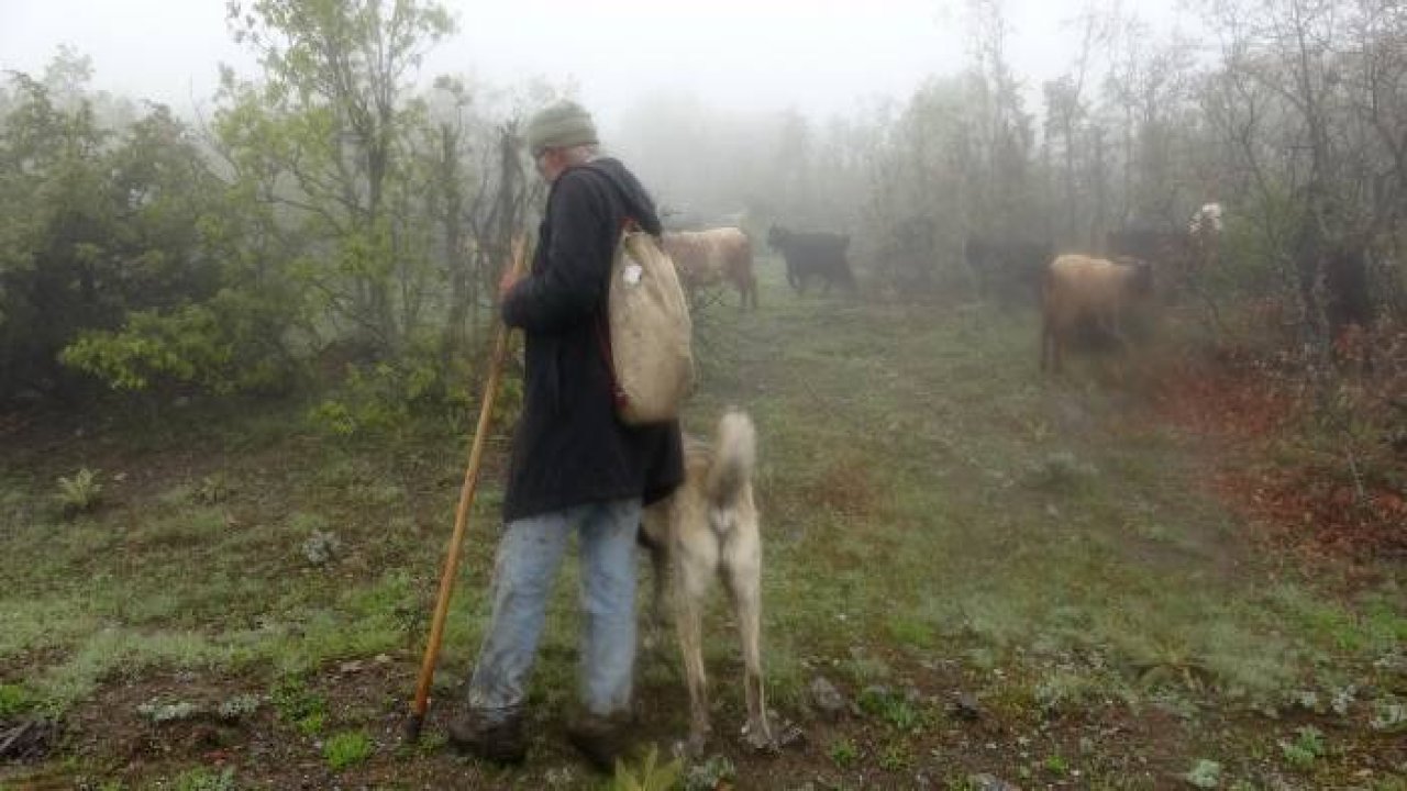Zorlu hava şartlarına rağmen mesleğinden vazgeçmiyor