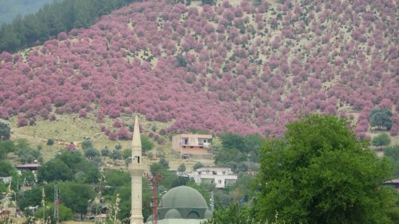 Doğa açık hava fotoğraf stüdyosuna dönüştü