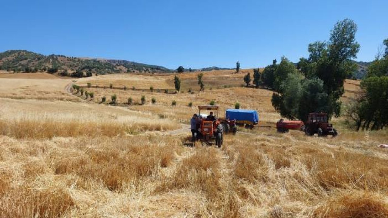 Çorumlu Çiftçiler Patoz Makineleri'nden Vazgeçemiyor