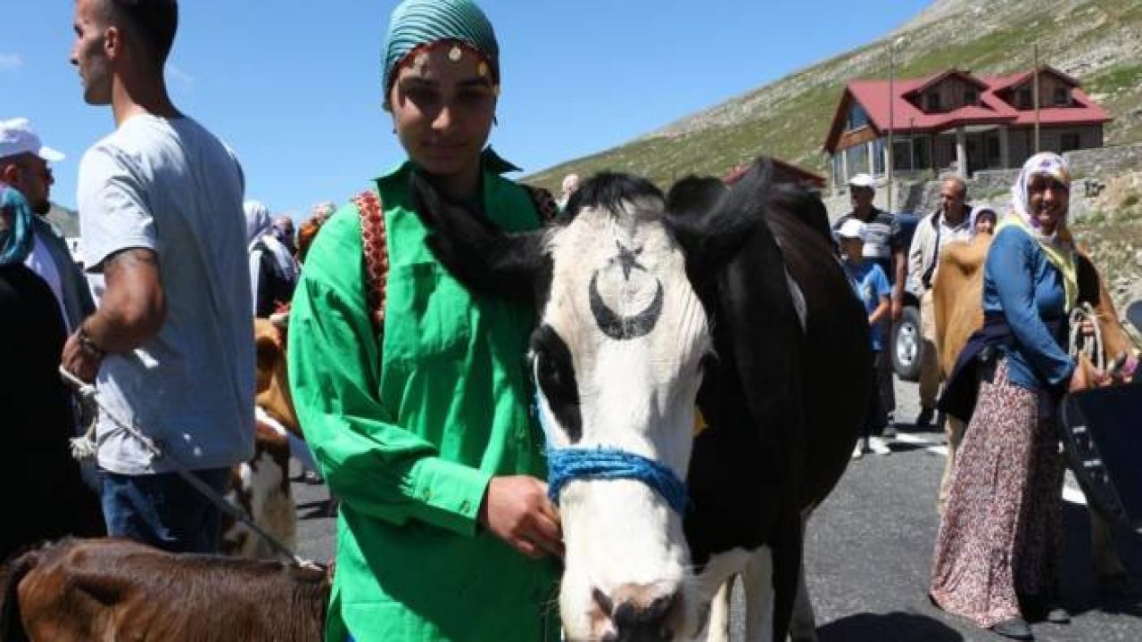 Yarışmayı kazanan inek yem ve samanı, sahibi ise para ödülünü kaptı