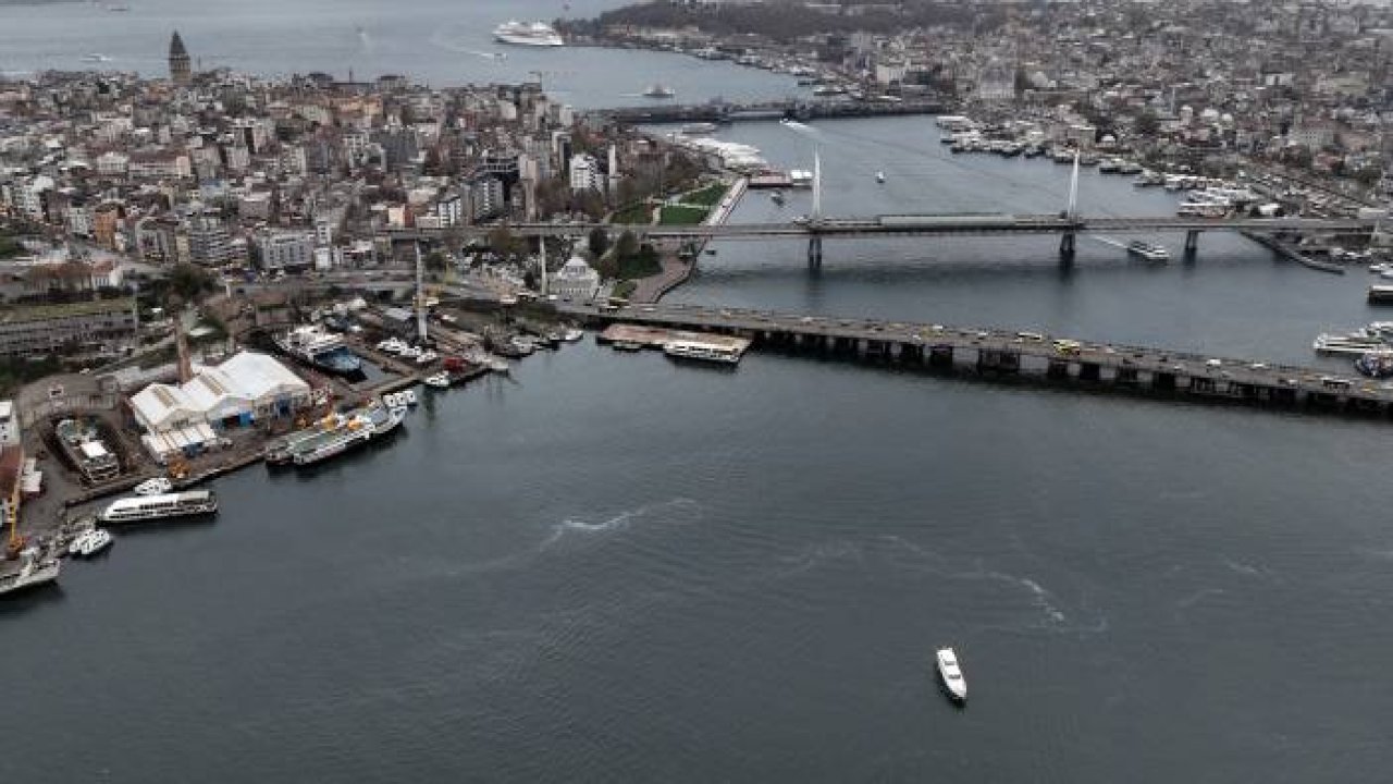 Haliç'te denizanaları alarmı: Kirlilik canlıların yaşamını tehdit ediyor