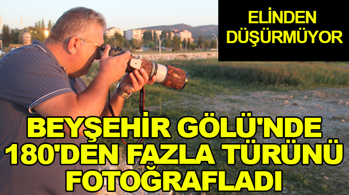 Elinden düşürmüyor: Beyşehir Gölü'nde 180'den fazla türünü fotoğrafladı
